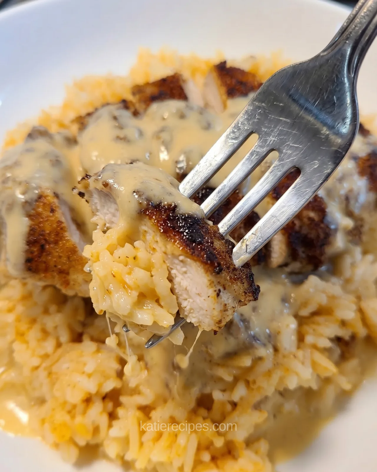 Creamy Cajun chicken and rice