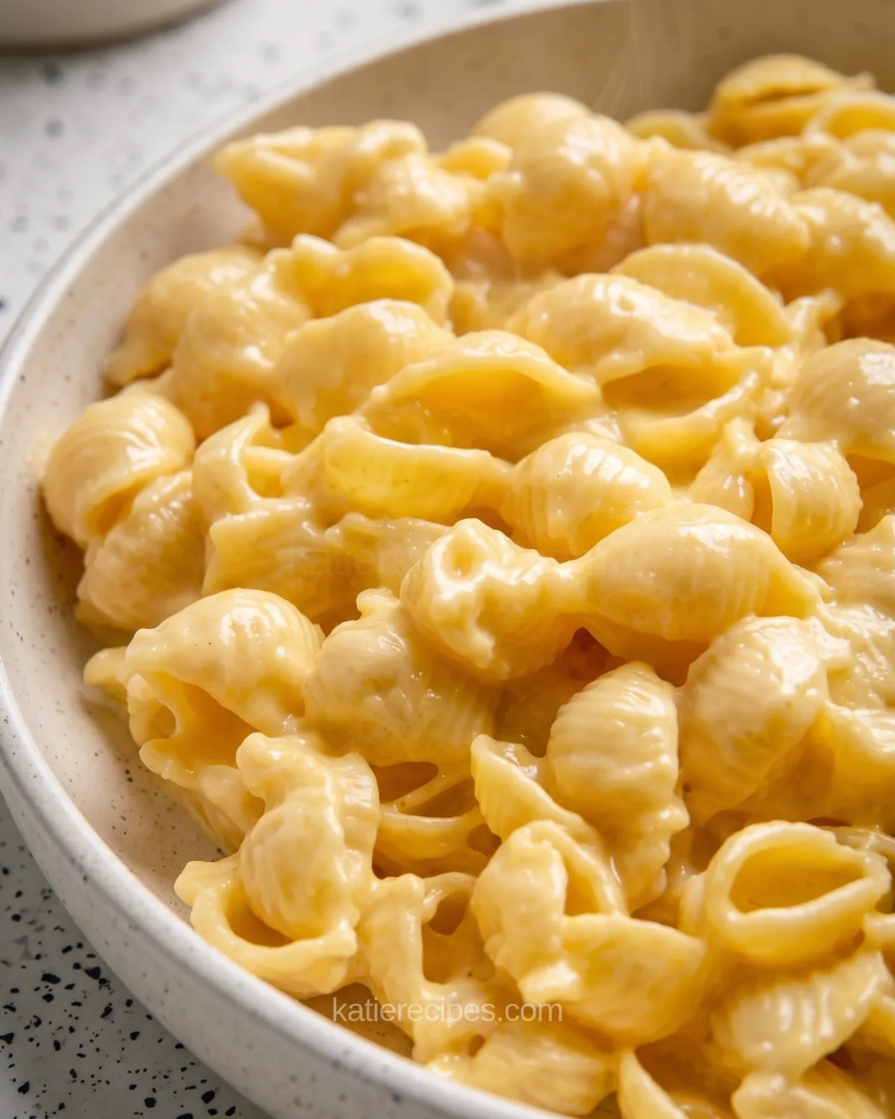 Creamy shells and cheese with sauce filling the open pasta shells