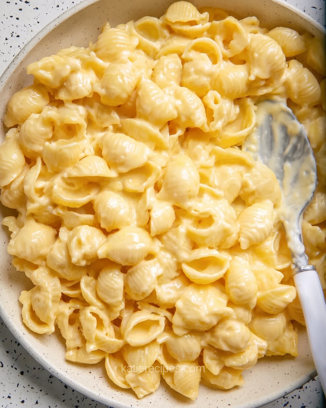 Shells and Cheese